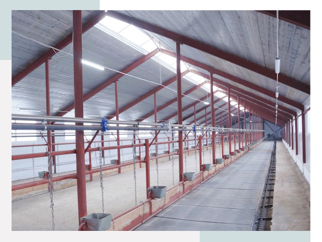 Строительство коровников в Богородицке от 641 руб.