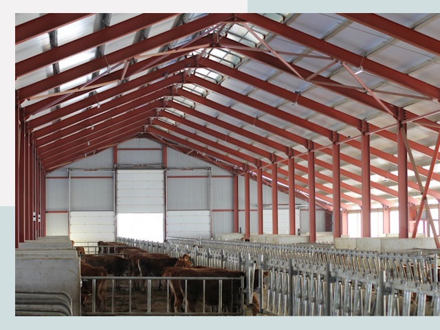 Строительство коровников в Богородицке