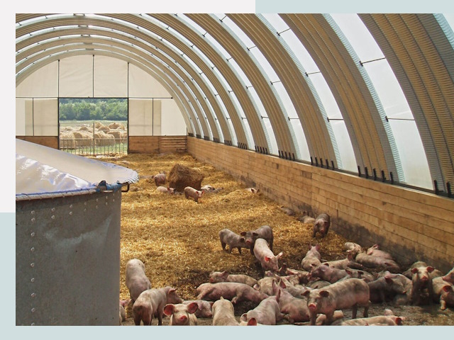 Строительство свинарников в Богородицке